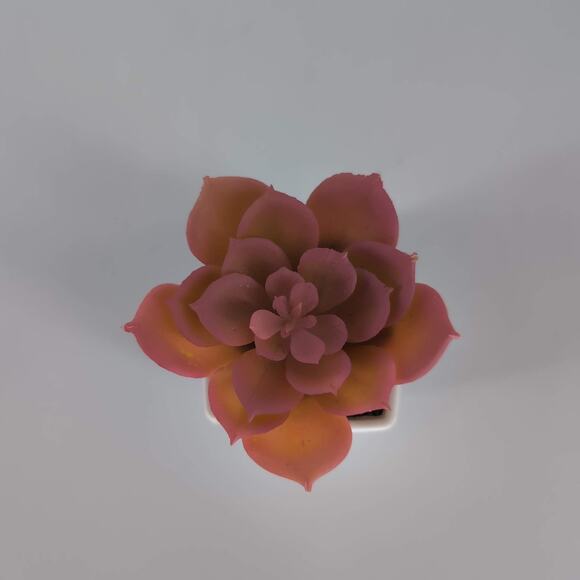 Mini Fake Faux Artificial Pink Succulent Potted Plant in Plastic White Pot - GUC - Picture 2 of 10